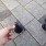 わくわく動物野郎